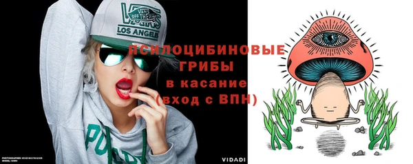 спиды Богданович