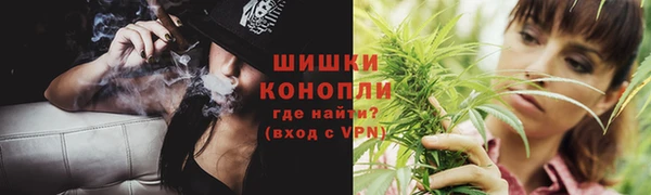 спиды Богданович