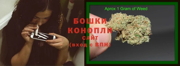 ПСИЛОЦИБИНОВЫЕ ГРИБЫ Сосновка