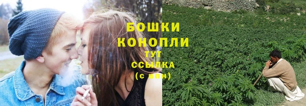 не бодяженный Сосновоборск