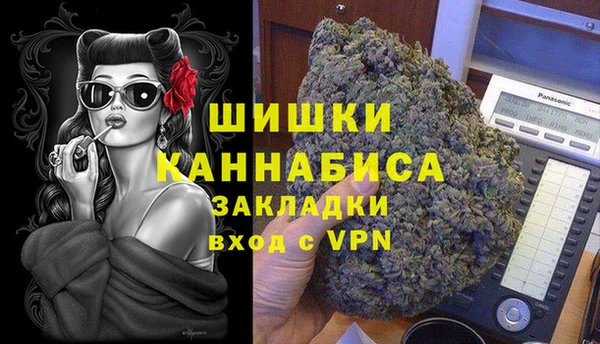 ПСИЛОЦИБИНОВЫЕ ГРИБЫ Сосновка